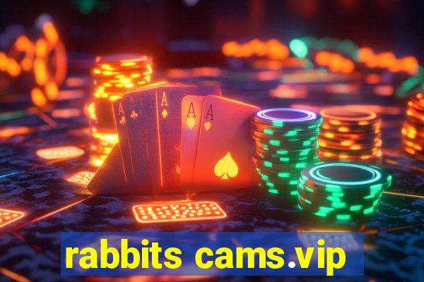 rabbits cams.vip